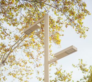 Streetlight_Rambles